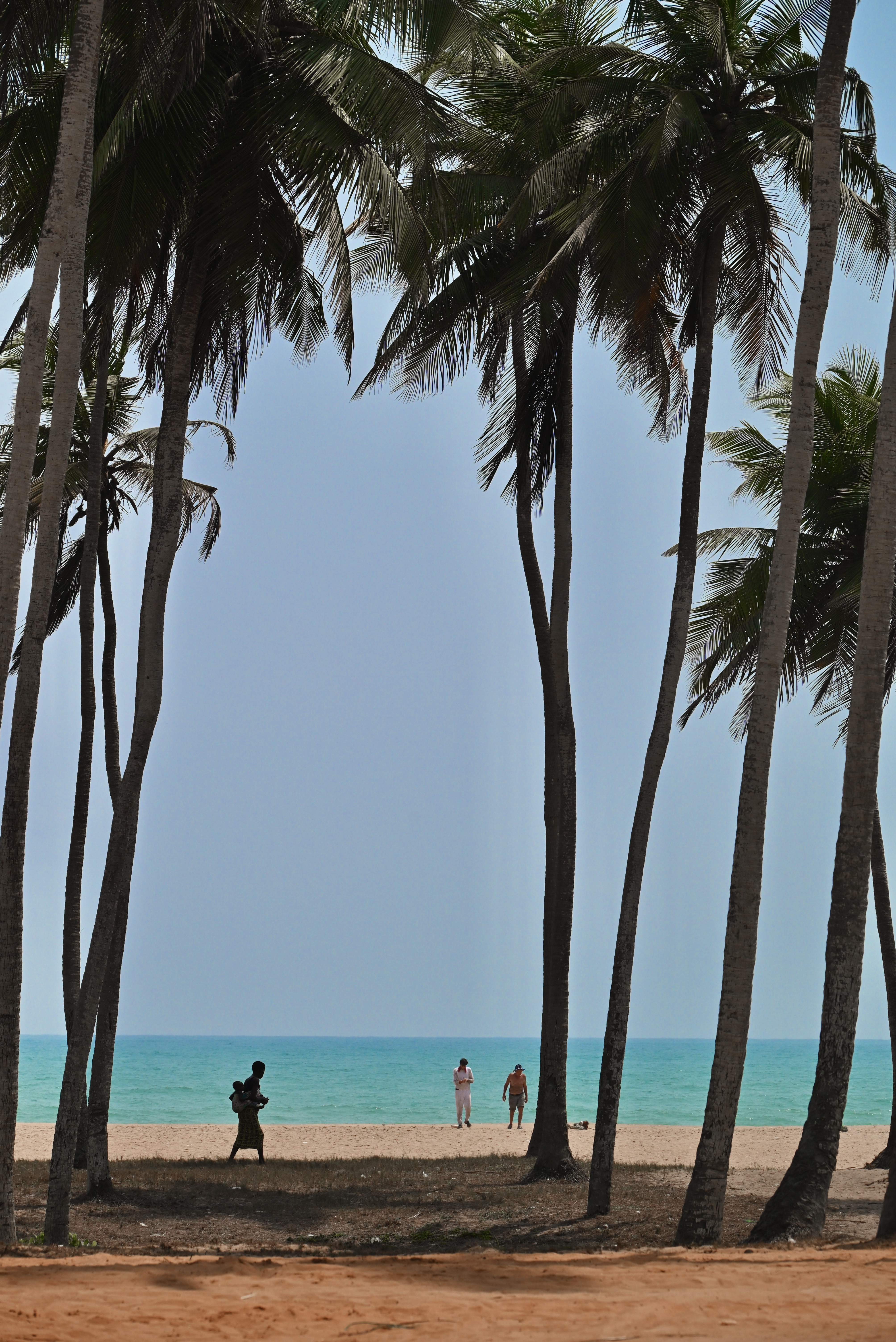Orto Benin