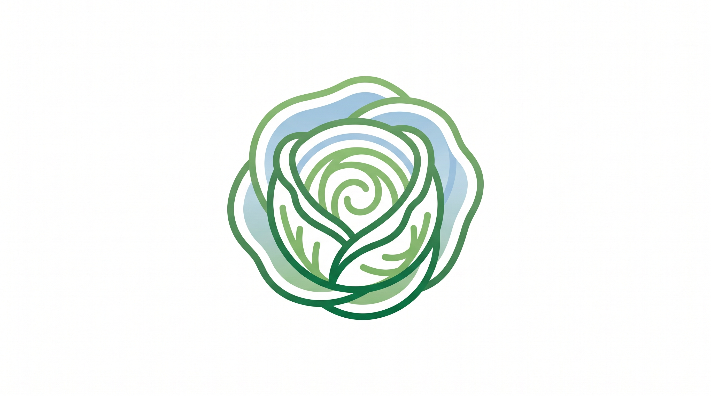 Logo Cielo d'Irlanda